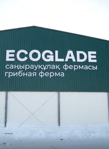 Процесс установки вывески грибной фермы